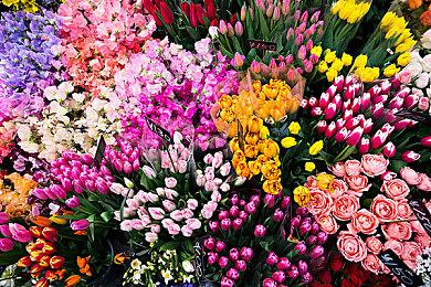 《受折磨的灵魂》Steam特别好评 网友呼吁加入中文