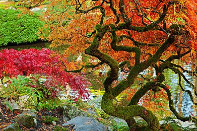 PS5 Pro曝光：价格高达700美元、支持8K游戏  2023-2024年出